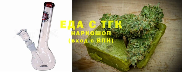 СК Алексин